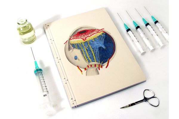 Anatomical Eye Journal by Fabulous Cat Papers