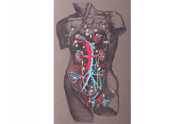 Dissection of a Male Torso. Paper Embroidery by Fabulous Cat Papers