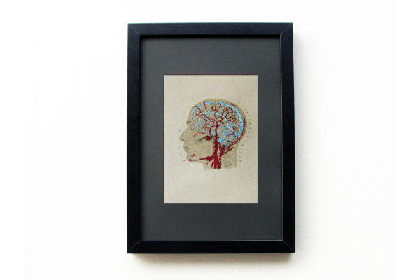 rain Anatomy Art. Veins and Arteries of the Head by Fabulous Cat Papers