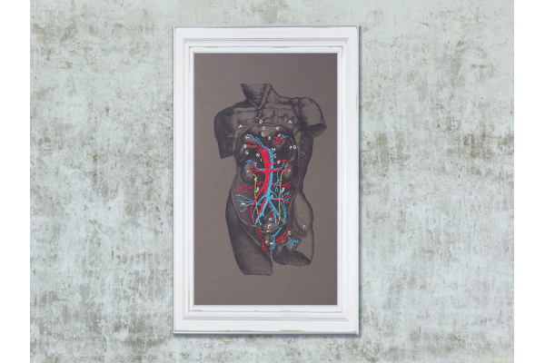 Dissection of a Male Torso. Paper Embroidery by Fabulous Cat Papers