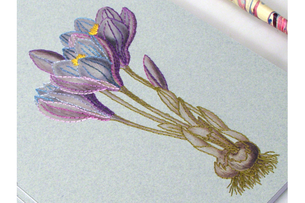 Crocus. Botanical Journal by Fabulous Cat Papers