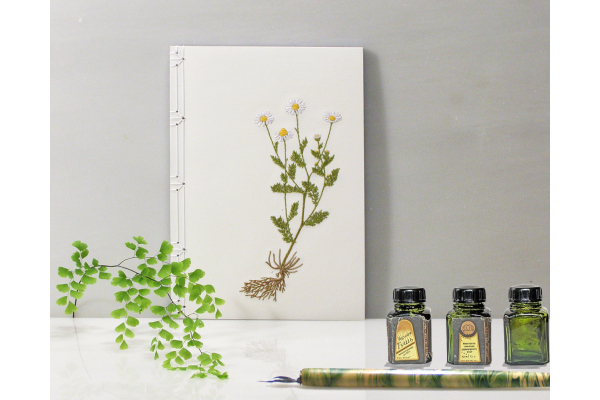 Chamomiles. Botanical Journal by Fabulous Cat Papers