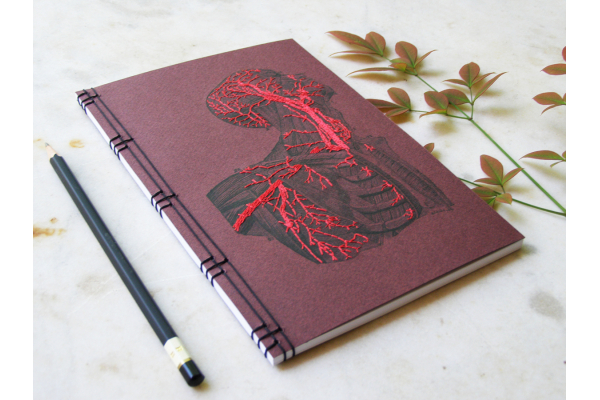 Anatomy Journal. Head and Torso by Fabulous Cat Papers
