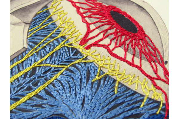Anatomical Eye Journal by Fabulous Cat Papers