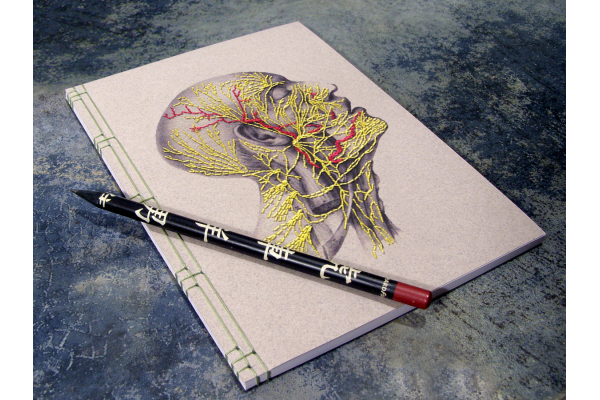 Nervous System of the Head by Fabulous Cat Papers