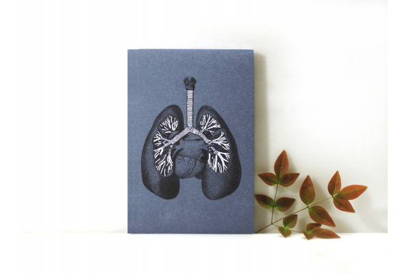 Lungs Anatomy. Paper Embroidery by Fabulous Cat Papers