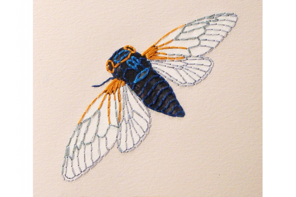 Cicada. A6 Notebook by Fabulous Cat Papers