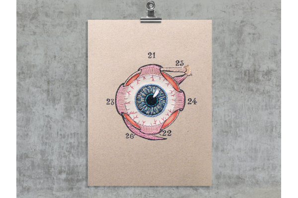 Eye Anatomy. Paper Embroidery by Fabulous Cat Papers