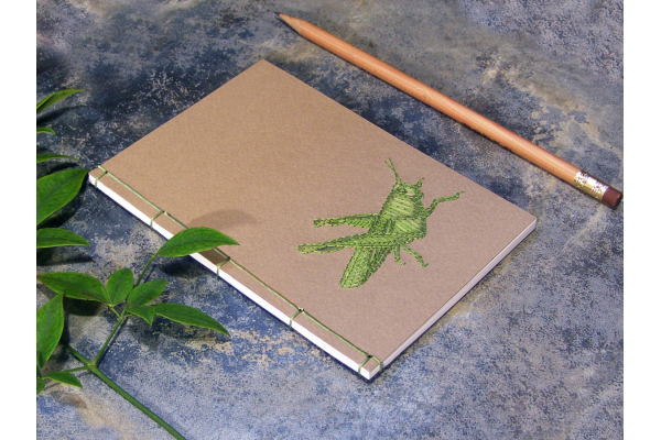 Grasshopper by Fabulous Cat Papers