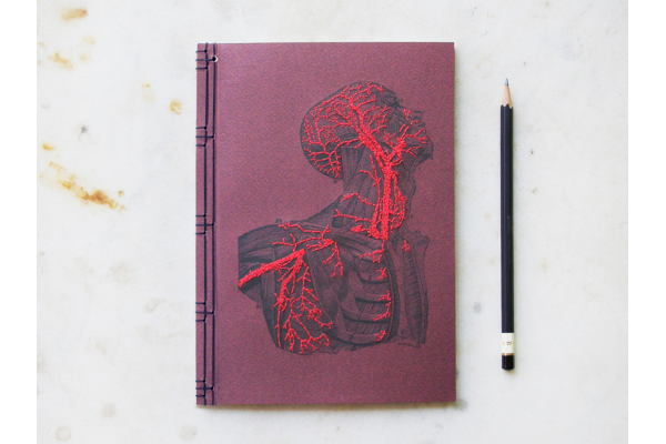 Anatomy Journal. Head and Torso by Fabulous Cat Papers