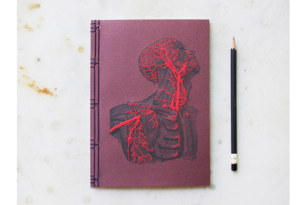 Anatomy Journal. Head and Torso by Fabulous Cat Papers