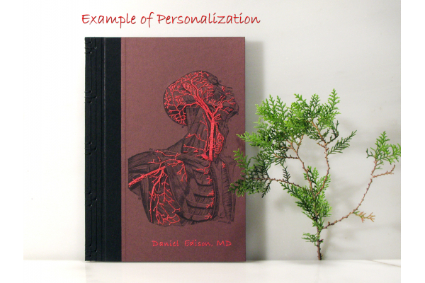 Anatomy Book. Torso and Head by Fabulous Cat Papers