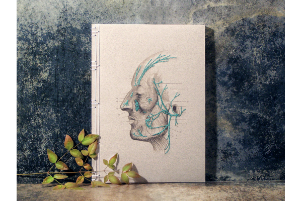 Facial Nerves by Fabulous Cat Papers