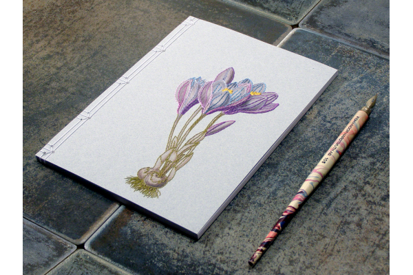 Crocus. Botanical Journal by Fabulous Cat Papers