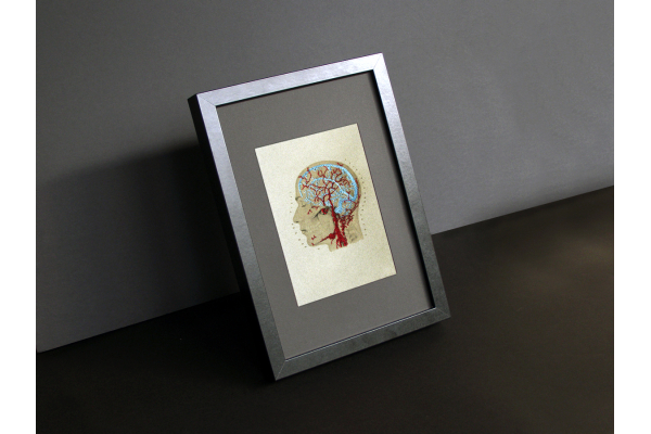 rain Anatomy Art. Veins and Arteries of the Head by Fabulous Cat Papers