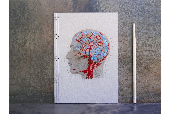 Brain Anatomy Journal by Fabulous Cat Papers
