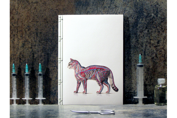 Cat Anatomy Journal by Fabulous Cat Papers