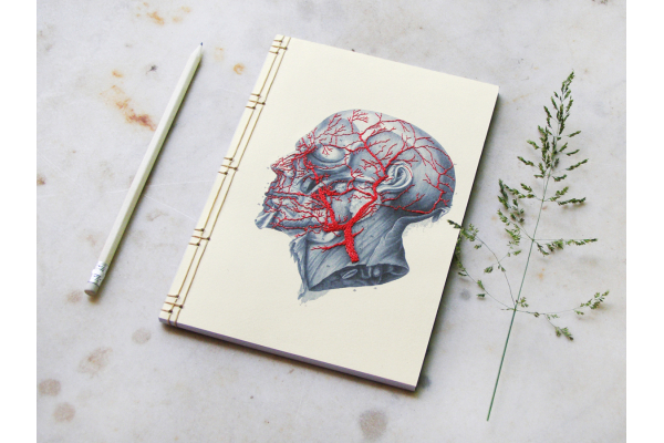 Anatomy Journal. Head by FabulousCatPapers