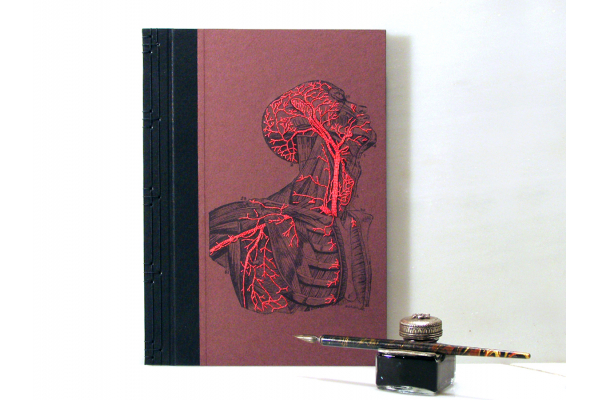 Anatomy Book. Torso and Head by Fabulous Cat Papers