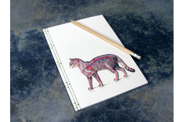 Cat Anatomy Journal by Fabulous Cat Papers