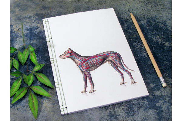 Dog Anatomy Journal by Fabulous Cat Papers