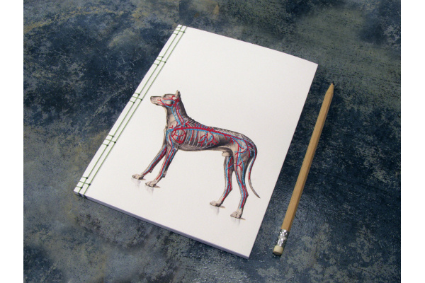 Dog Anatomy Journal by Fabulous Cat Papers