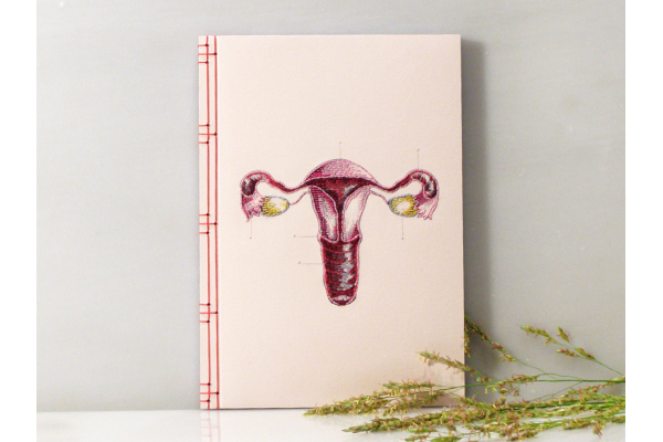 Uterus and Ovaries Journal by Fabulous Cat Papers