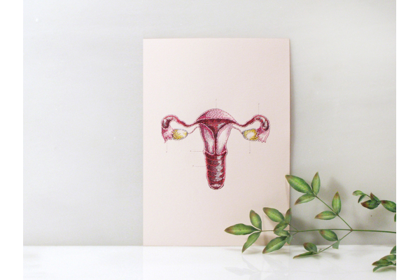 Uterus and Ovaries. Anatomy Art. Paper Embroidery by Fabulous Cat Papers