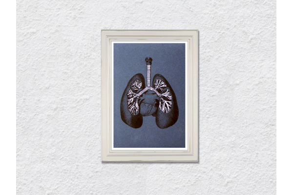 Lungs Anatomy. Paper Embroidery by Fabulous Cat Papers