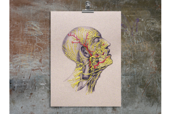 Nervous System of the Head. Paper Embroidery by Fabulous Cat Papers