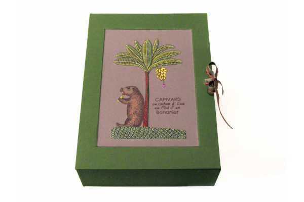 Capivara Box by Fabulous Cat Papers