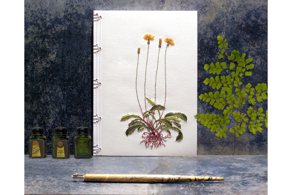 Dandelion Plant. Botanical Journal by Fabulous Cat Papers