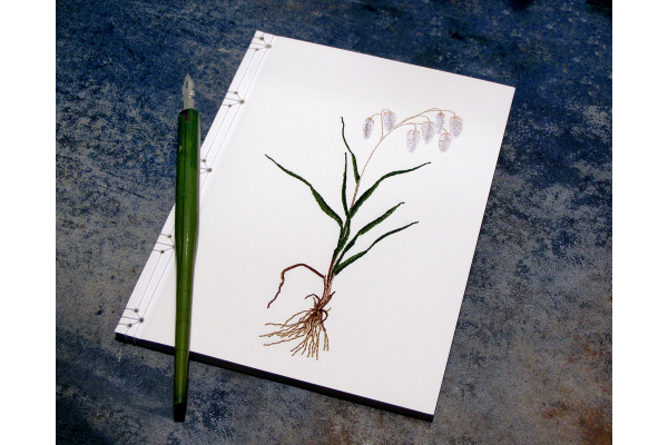 Quaking Grass. Botanical Journal by Fabulous Cat Papers