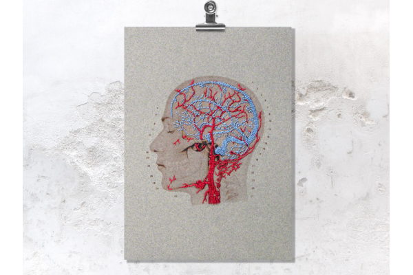 rain Anatomy Art. Veins and Arteries of the Head by Fabulous Cat Papers