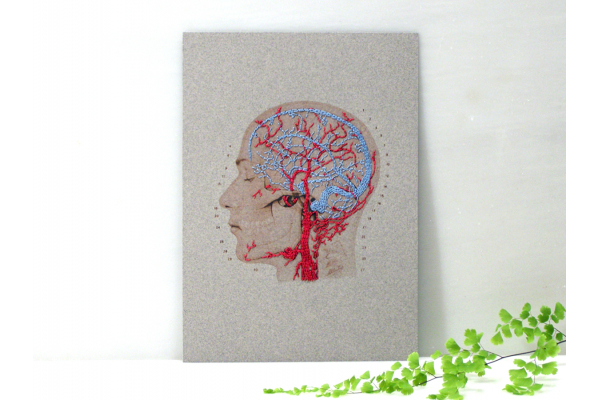 Brain Anatomy Art. Veins and Arteries of the Head by Fabulous Cat Papers