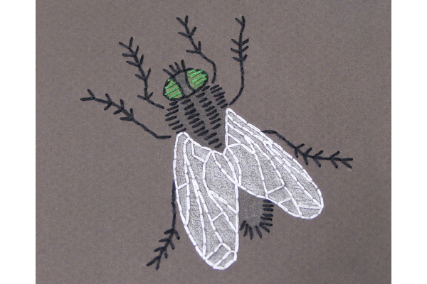 House Fly by Fabulous Cat Papers