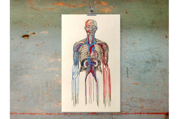 Bleeding by Needles by Fabulous Cat Papers