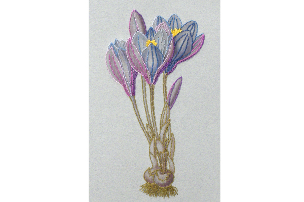 Crocus. Botanical Journal by Fabulous Cat Papers