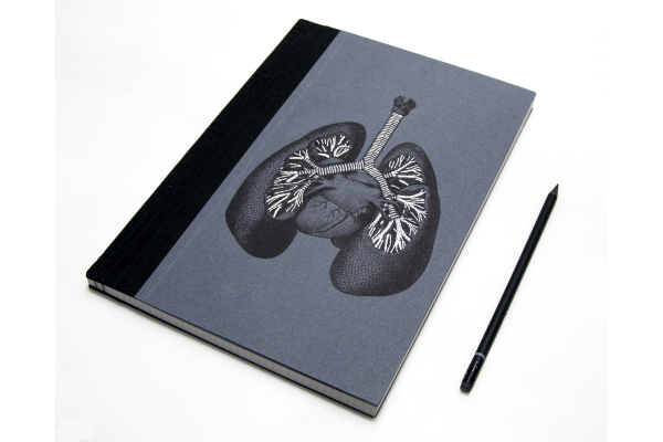 Lungs Anatomy Book by Fabulous Cat Papers