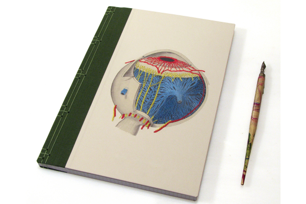 Eye Anatomy Book by Fabulous Cat Papers