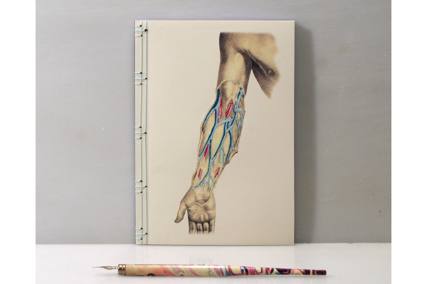 Arm Anatomy Journal by Fabulous Cat Papers