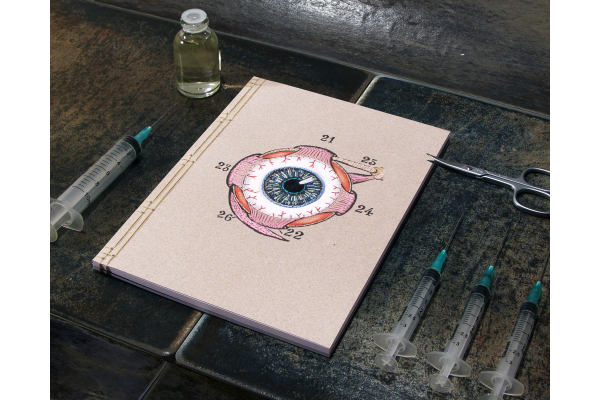 Eye Anatomy Journal by Fabulous Cat Papers