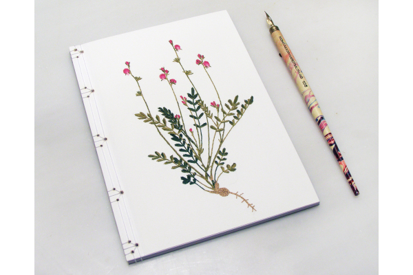 Sainfoin. Botanical Journal by Fabulous Cat Papers