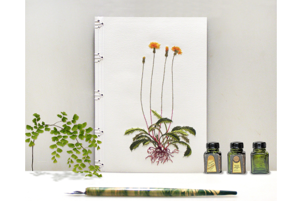 Dandelion Plant. Botanical Journal by Fabulous Cat Papers