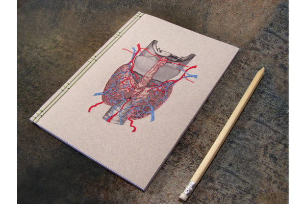 Thyroid Gland Journal by Fabulous Cat Papers