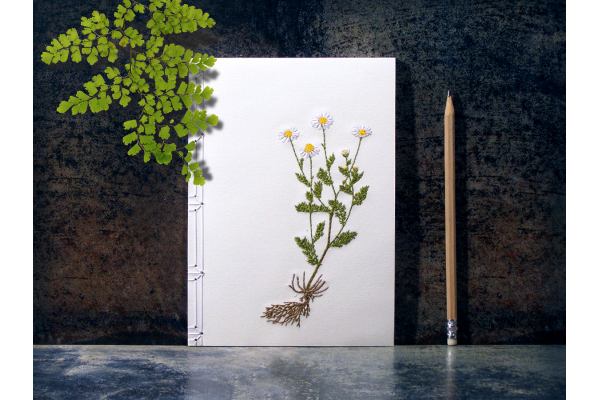 Chamomiles. Botanical Journal by Fabulous Cat Papers