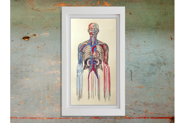 Bleeding by Needles by Fabulous Cat Papers