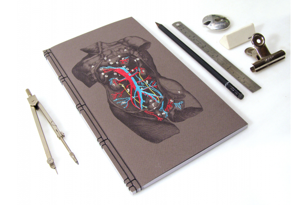 Dissection of a Male Torso Journal by Fabulous Cat Papers