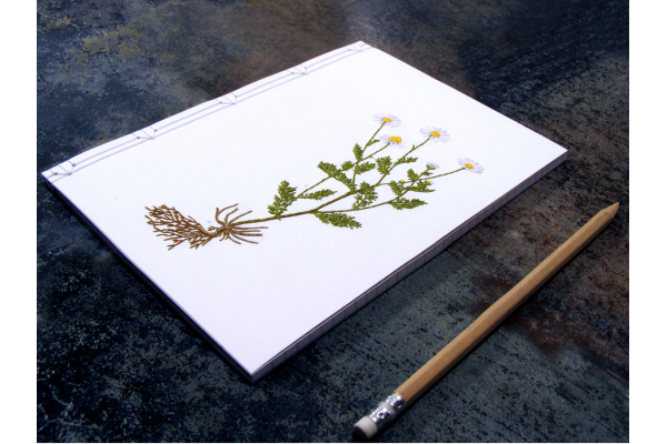 Chamomiles. Botanical Journal by Fabulous Cat Papers
