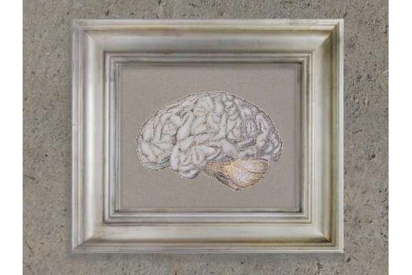 Anatomical Brain. Paper Embroidery by Fabulous Cat Papers